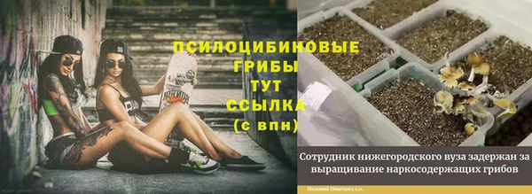 гидра Лиски