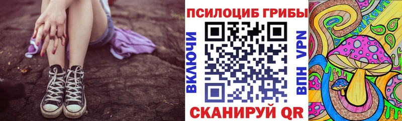 Галлюциногенные грибы мицелий  Купить где  Черкесск 